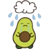 The life of an avocado 24