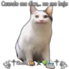Cuando me dice... no me bajo
Cheche