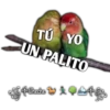 TÚ
TU YO
UN PALITO
fu Cheche APARS