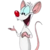 PINKY & CEREBRO 17