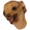jujuj test 7