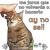 me juras que
no volverás a
hacerlo
ay no
se!!
Cheche C Ate