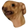jujuj test 8