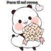 pandita tierno 🐼 17