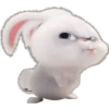 Snowball-Faces🐰 29