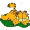 Garfield 17
