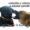 cuidadito y volteas
a saludar perro!!!
* Cheche