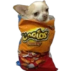 Dogos y Michis 2 ️ 23