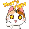 Funny Cats 2 5