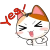 Funny Cats 2 7