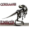 CORRAAN!!!!
ELIMINACIÓN
CSR011