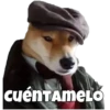 Perritos 5