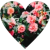 Rose Day 5