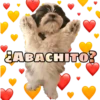 Perritos 6