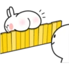 Rabbit 5