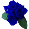 Flores 2 5