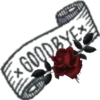 Rose Day 6