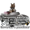 Perritos 7