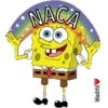 Bob (arcoíris) 8
