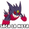 Pokémon fantasmas 11