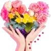Rose Day 8
