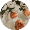 Rose Day 9