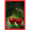 puro corazón ️️ 8