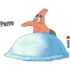 Perro
Madrid