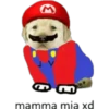 perritos 7