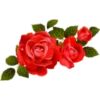 Flores 2 6