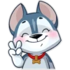 Dogs 6