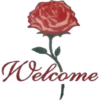 Rose Day 10