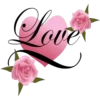 Rose Day 11