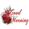 Rose Day 12