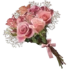 Rose Day 13