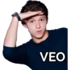 VEO