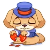 Mr. Pup 11