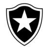 Brasileiro Serie A (Brazil) 5