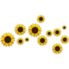 Flores 2 8