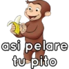 asi pelare
tu pito