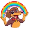 Dogs 10