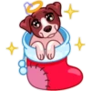 Dogs 11