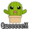 Cactus LOVERS 8