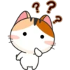 Funny Cats 2 10