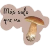 Hablando Mexicano 8