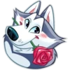 Dogs 12