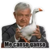 Me canso gansO
