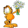Garfield 10