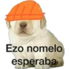 perritos 10
