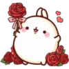 Rose Day 16